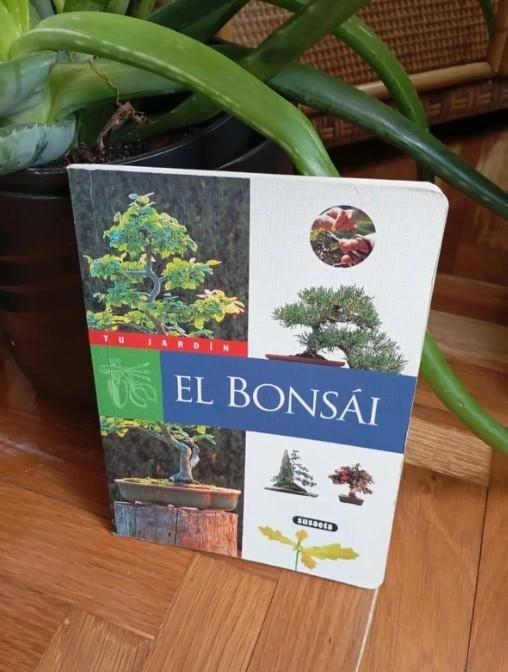 Libro guía practica sobre los bonsais